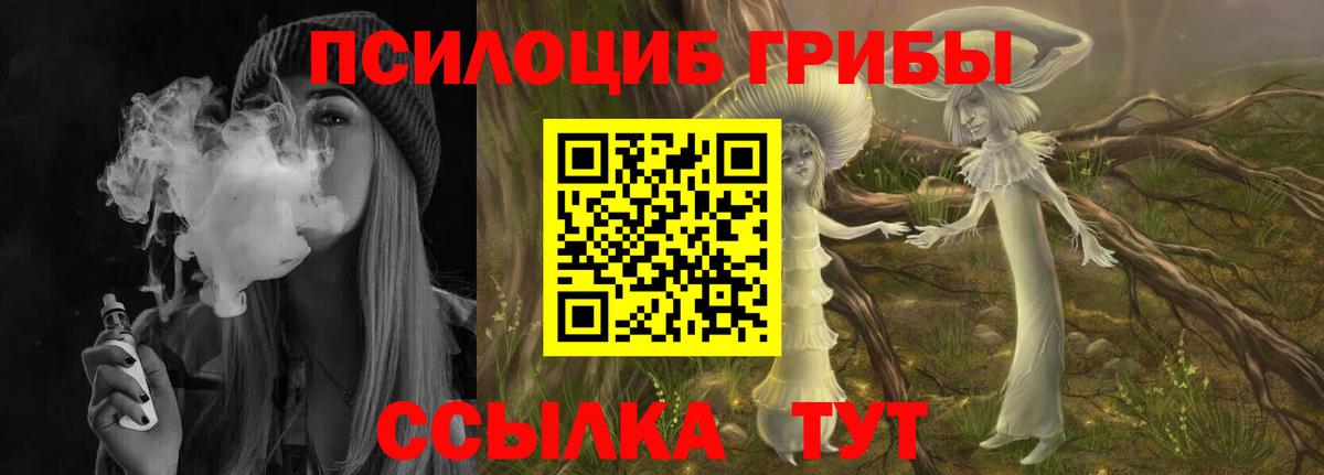 где можно купить наркотик  Псилоцибиновые грибы мухоморы  Вход с VPN  Шебекино  Галлюциногенные грибы мухоморы 